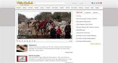 Desktop Screenshot of dulkadiroglu.com